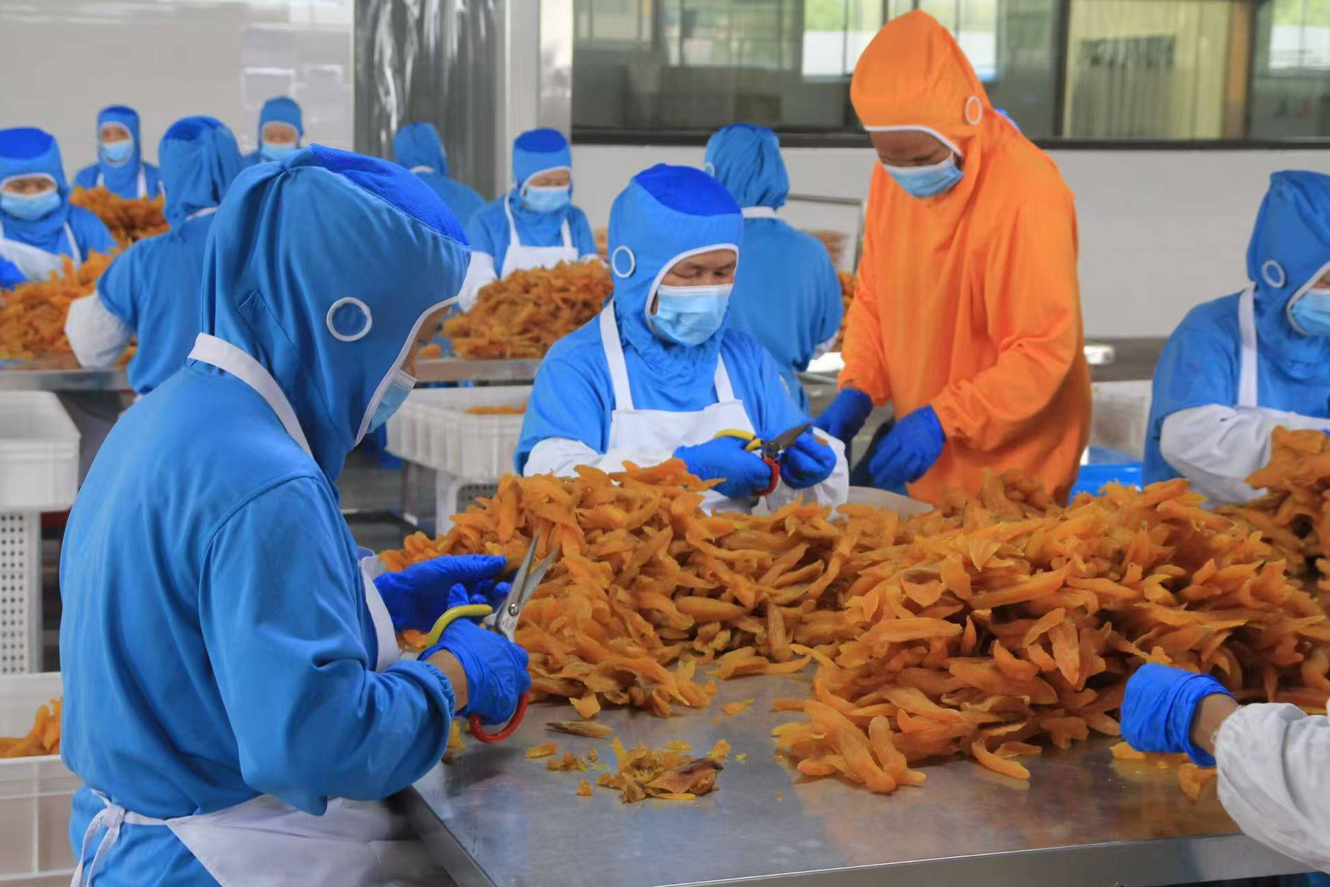 2026红瑶倒蒸薯干源头贴牌怎么选？内行靠谱厂家干货总结
