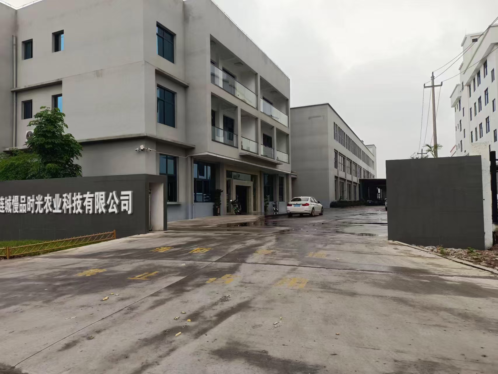 2026龙岩花生礼盒源头怎么选？本地老牌工厂实测对比