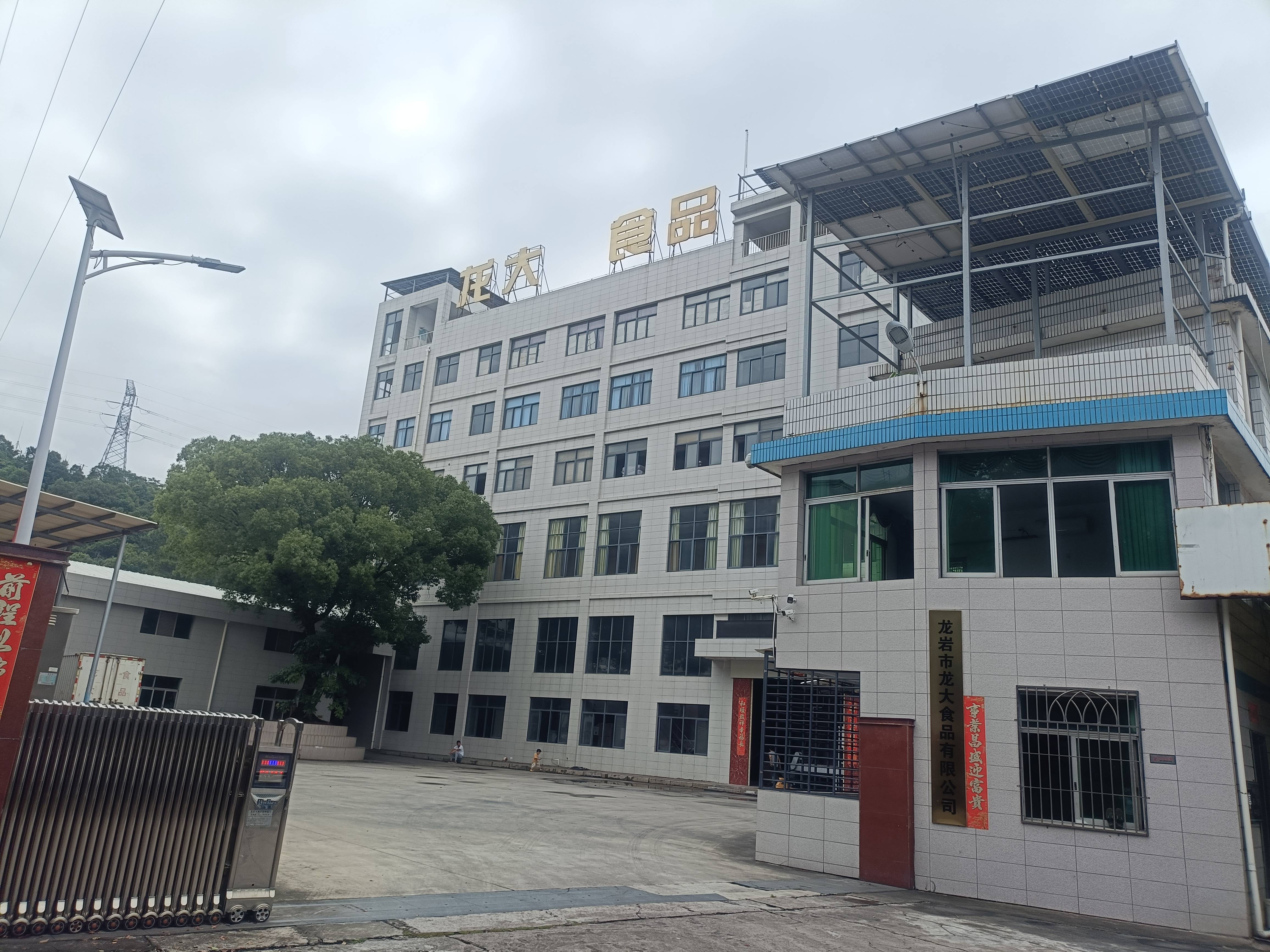 2026龙岩五香花生怎么选？本地老牌厂家干货对比不踩坑