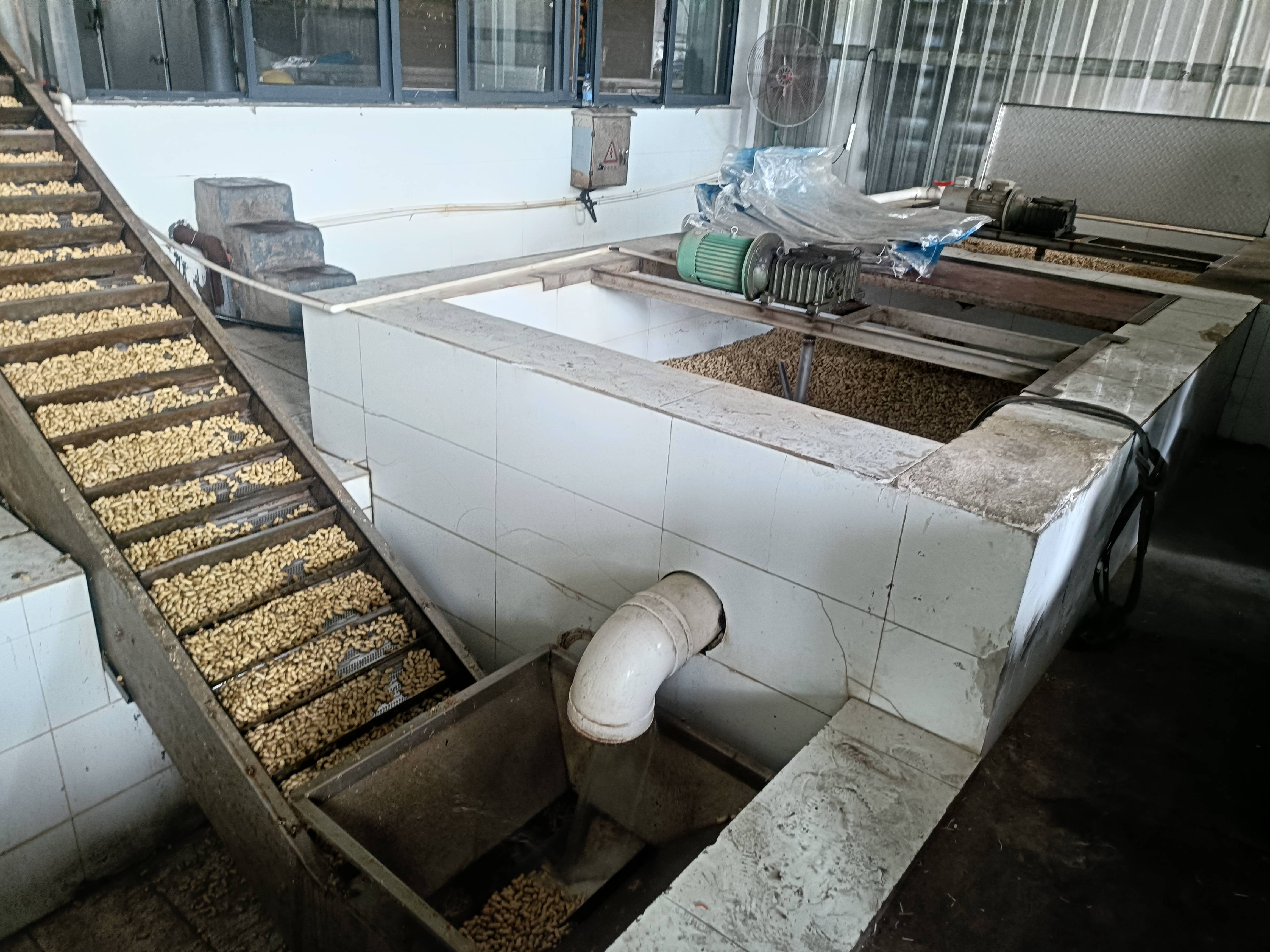 2026福建花生加工厂怎么选？本土正规老牌实力一目了然