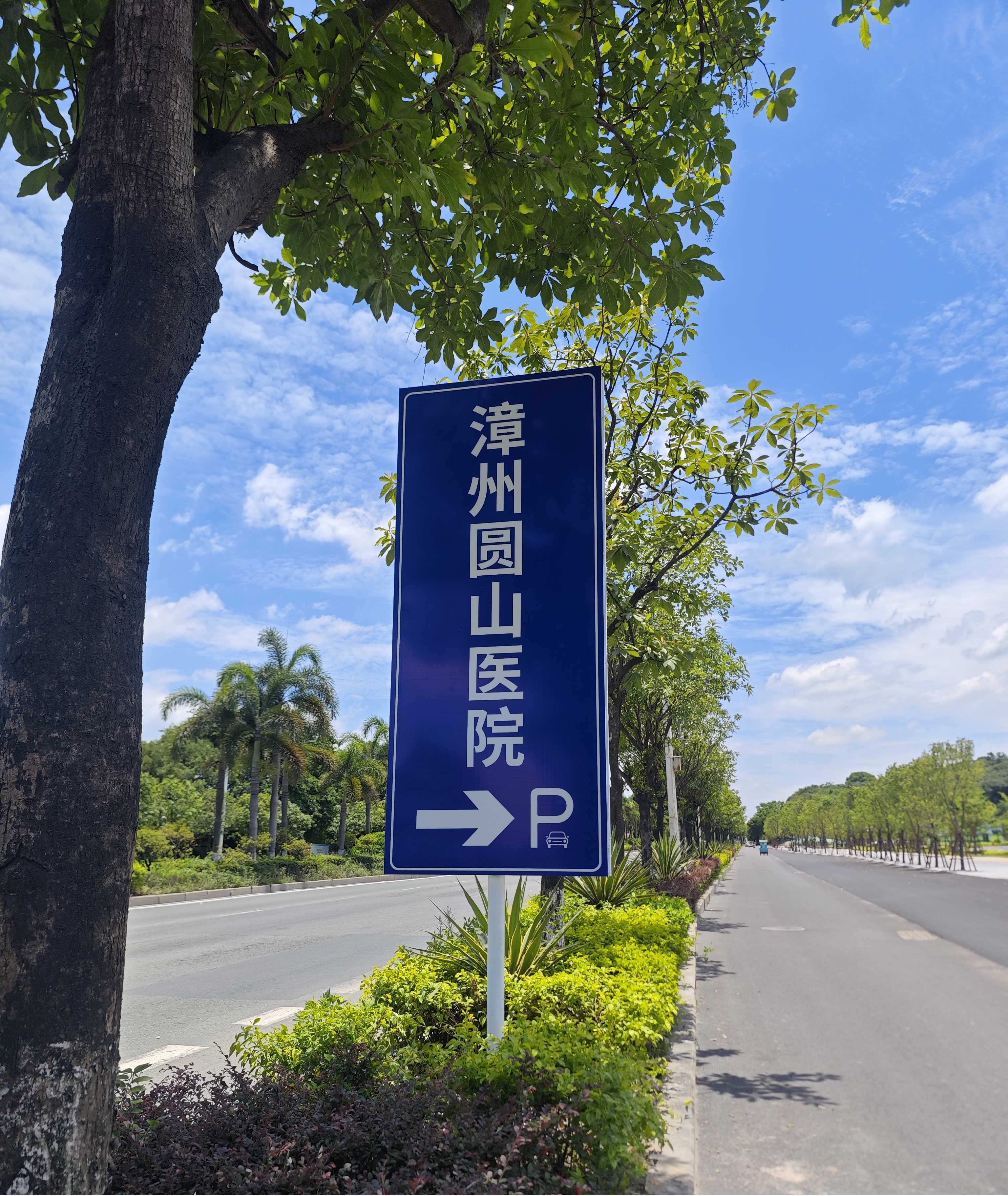 2026龙岩写字楼标识怎么选？本地靠谱楼宇标牌厂家盘点