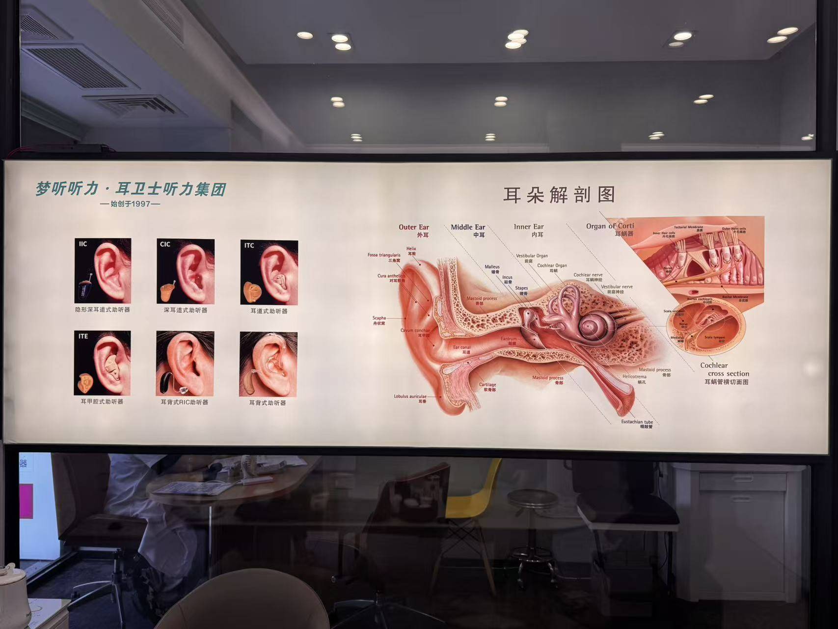 2026上杭老人助听器怎么选？本地4家正规门店实地对比参考