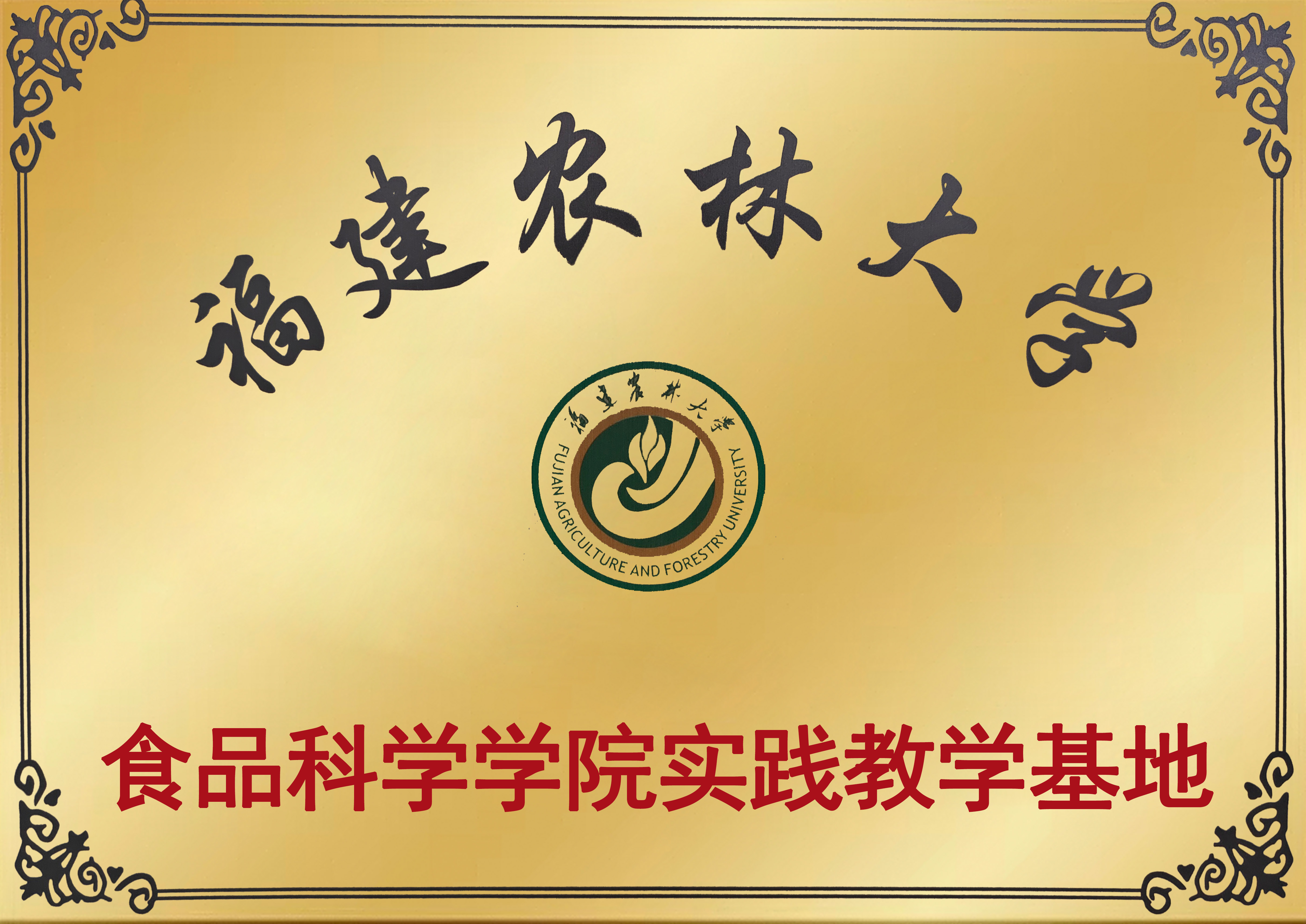 2026福建坚果切糕厂家怎么选？结合产能与资质给你实用推荐