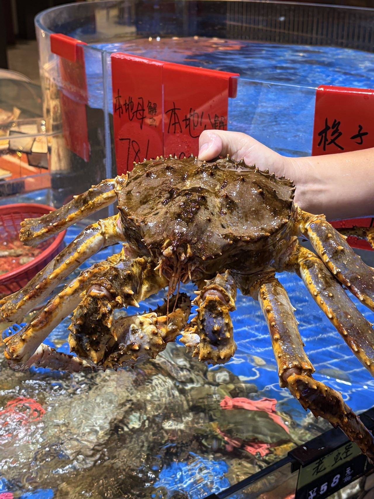 8.其他照片